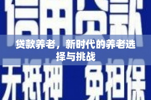 大观贷款养老，新时代的养老选择与挑战
