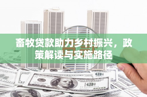 大观畜牧贷款助力乡村振兴，政策解读与实施路径
