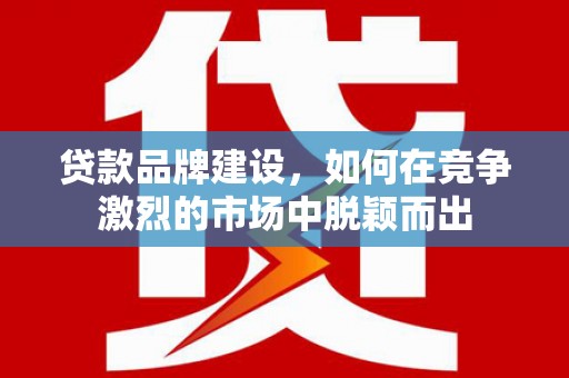 大观贷款品牌建设，如何在竞争激烈的市场中脱颖而出