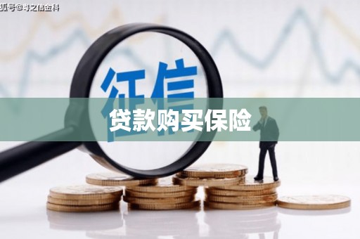 大观贷款购买保险