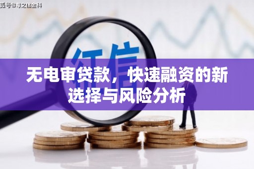 大观无电审贷款，快速融资的新选择与风险分析