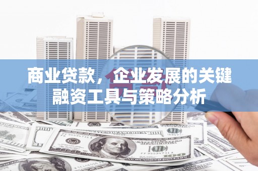 大观商业贷款，企业发展的关键融资工具与策略分析