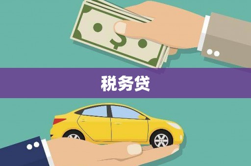 大观税务贷
