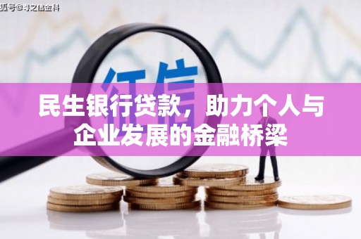 大观民生银行贷款，助力个人与企业发展的金融桥梁