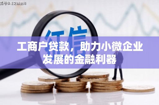 大观工商户贷款，助力小微企业发展的金融利器
