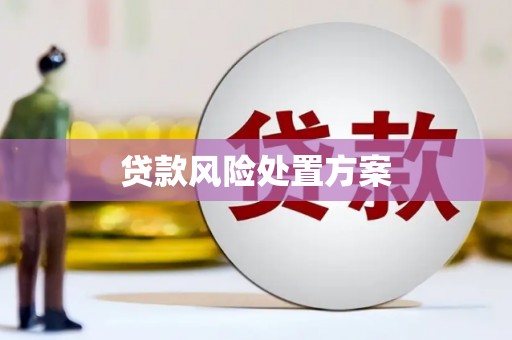 大观贷款风险处置方案