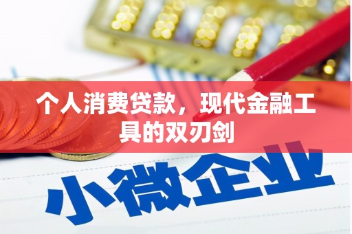 大观个人消费贷款，现代金融工具的双刃剑