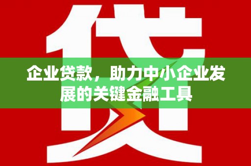 大观企业贷款，助力中小企业发展的关键金融工具