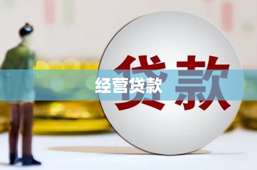 大观经营贷款
