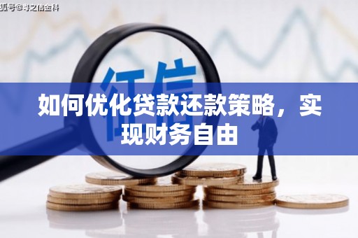 大观如何优化贷款还款策略，实现财务自由