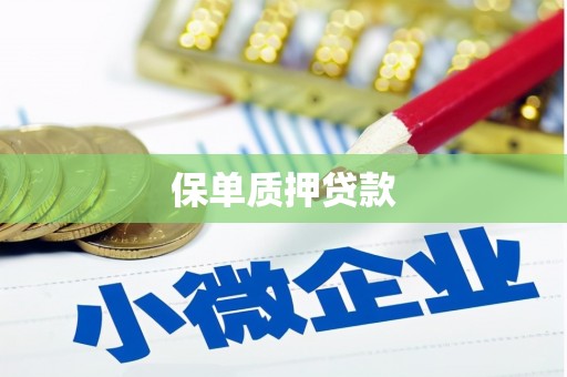 大观保单质押贷款