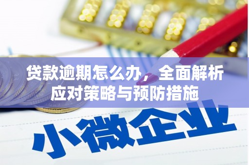 大观贷款逾期怎么办，全面解析应对策略与预防措施