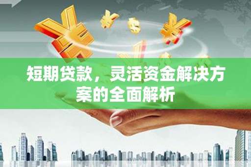 大观短期贷款，灵活资金解决方案的全面解析