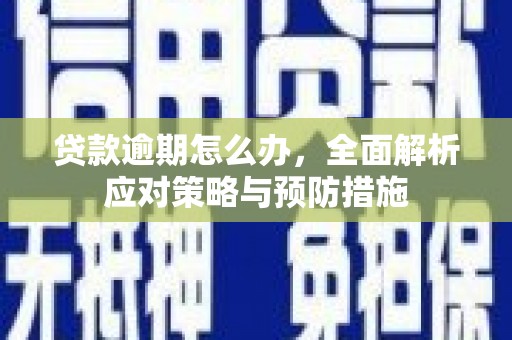 大观贷款逾期怎么办，全面解析应对策略与预防措施