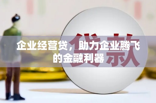 大观企业经营贷，助力企业腾飞的金融利器