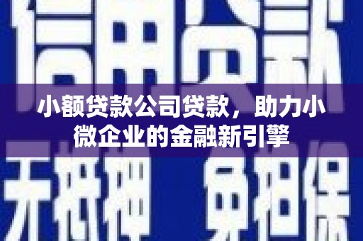 大观小额贷款公司贷款，助力小微企业的金融新引擎