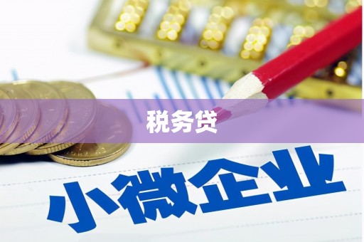 大观税务贷