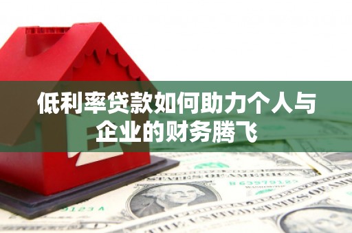 大观低利率贷款如何助力个人与企业的财务腾飞