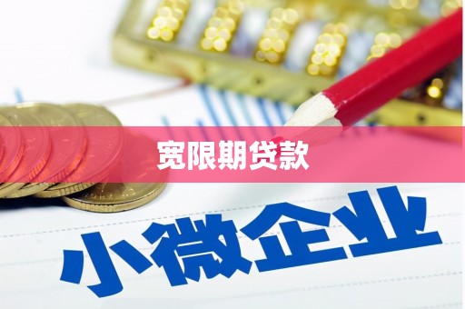 大观宽限期贷款
