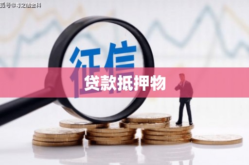 大观贷款抵押物