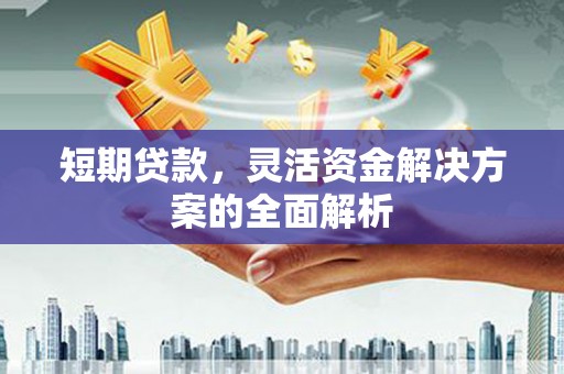 大观短期贷款，灵活资金解决方案的全面解析