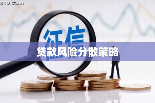 大观贷款风险分散策略