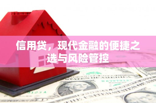 大观信用贷，现代金融的便捷之选与风险管控