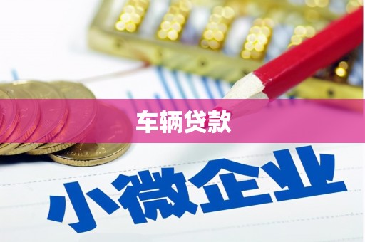 大观车辆贷款