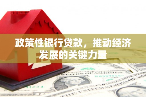 大观政策性银行贷款，推动经济发展的关键力量