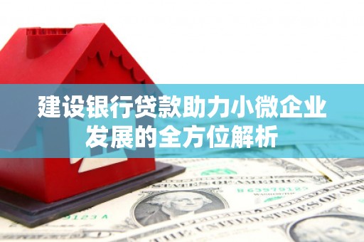 大观建设银行贷款助力小微企业发展的全方位解析