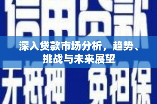 大观深入贷款市场分析，趋势、挑战与未来展望