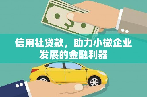 大观信用社贷款，助力小微企业发展的金融利器