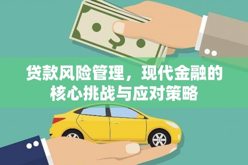 大观贷款风险管理，现代金融的核心挑战与应对策略