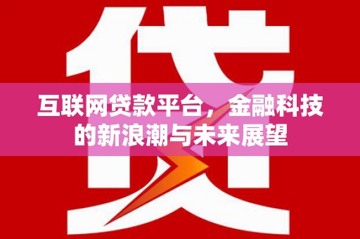 大观互联网贷款平台，金融科技的新浪潮与未来展望