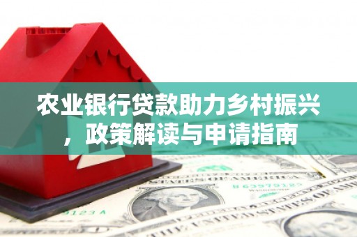 大观农业银行贷款助力乡村振兴，政策解读与申请指南