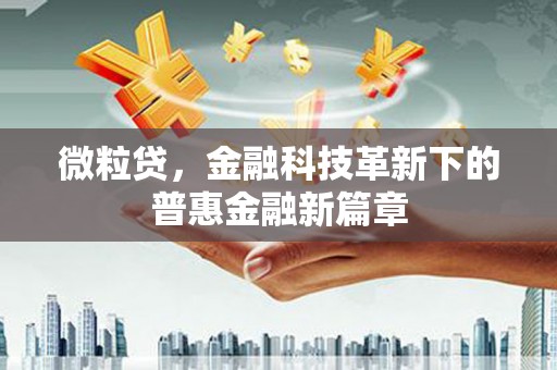 大观微粒贷，金融科技革新下的普惠金融新篇章