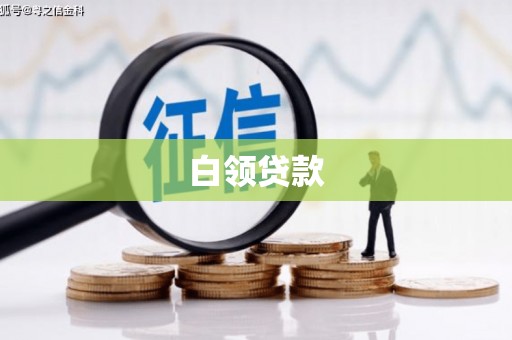 大观白领贷款