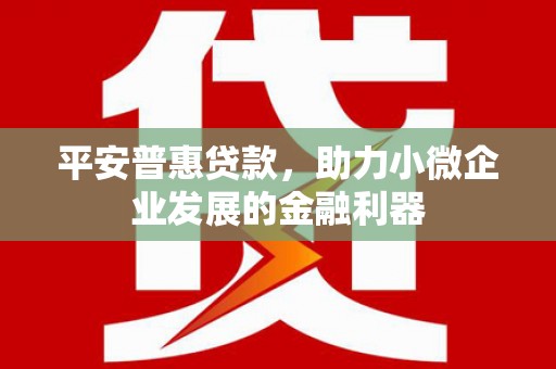 大观平安普惠贷款，助力小微企业发展的金融利器