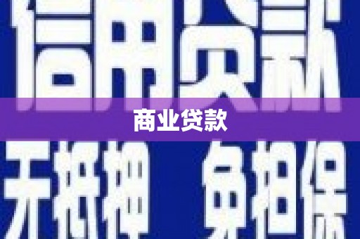 大观商业贷款