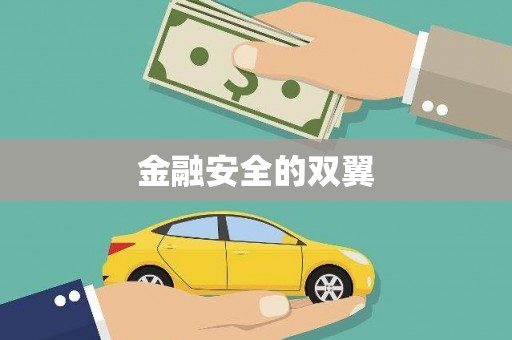 大观金融安全的双翼