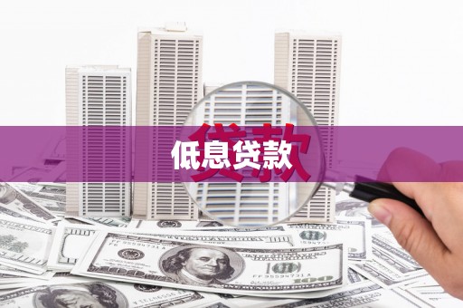 大观低息贷款