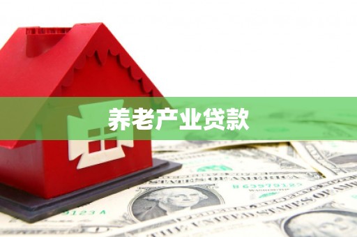 大观养老产业贷款