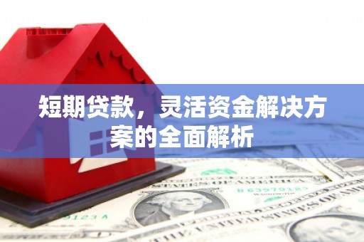 大观短期贷款，灵活资金解决方案的全面解析