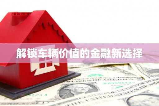 大观解锁车辆价值的金融新选择