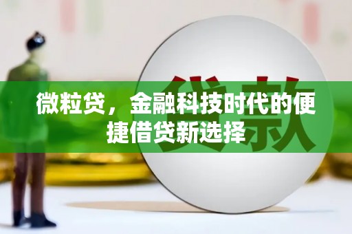 大观微粒贷，金融科技时代的便捷借贷新选择