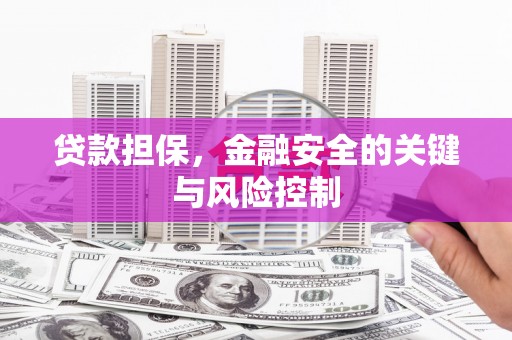 大观贷款担保，金融安全的关键与风险控制