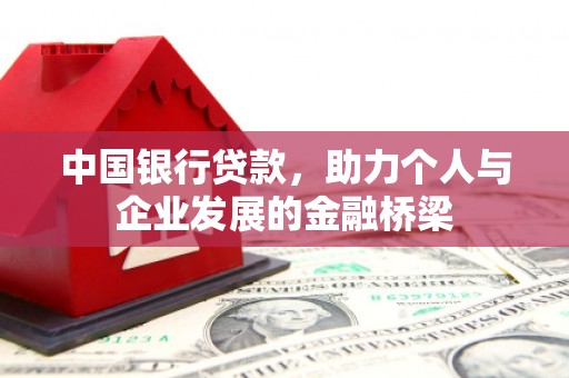 大观中国银行贷款，助力个人与企业发展的金融桥梁