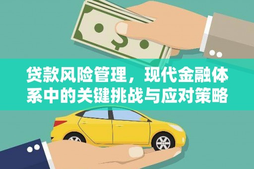 大观贷款风险管理，现代金融体系中的关键挑战与应对策略