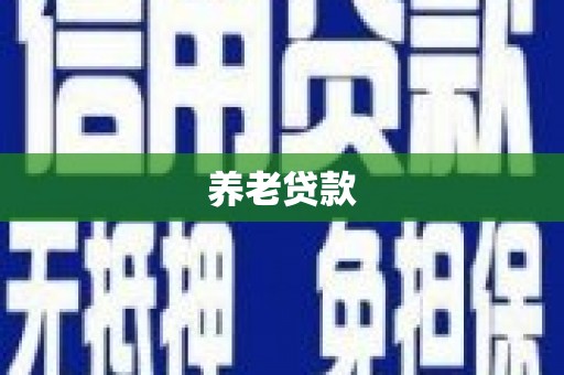 大观养老贷款