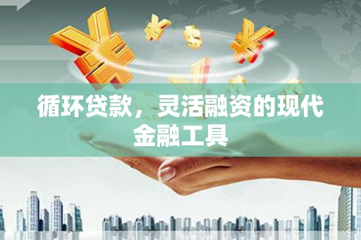 大观循环贷款，灵活融资的现代金融工具